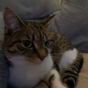 Meet your Posher, Daniel